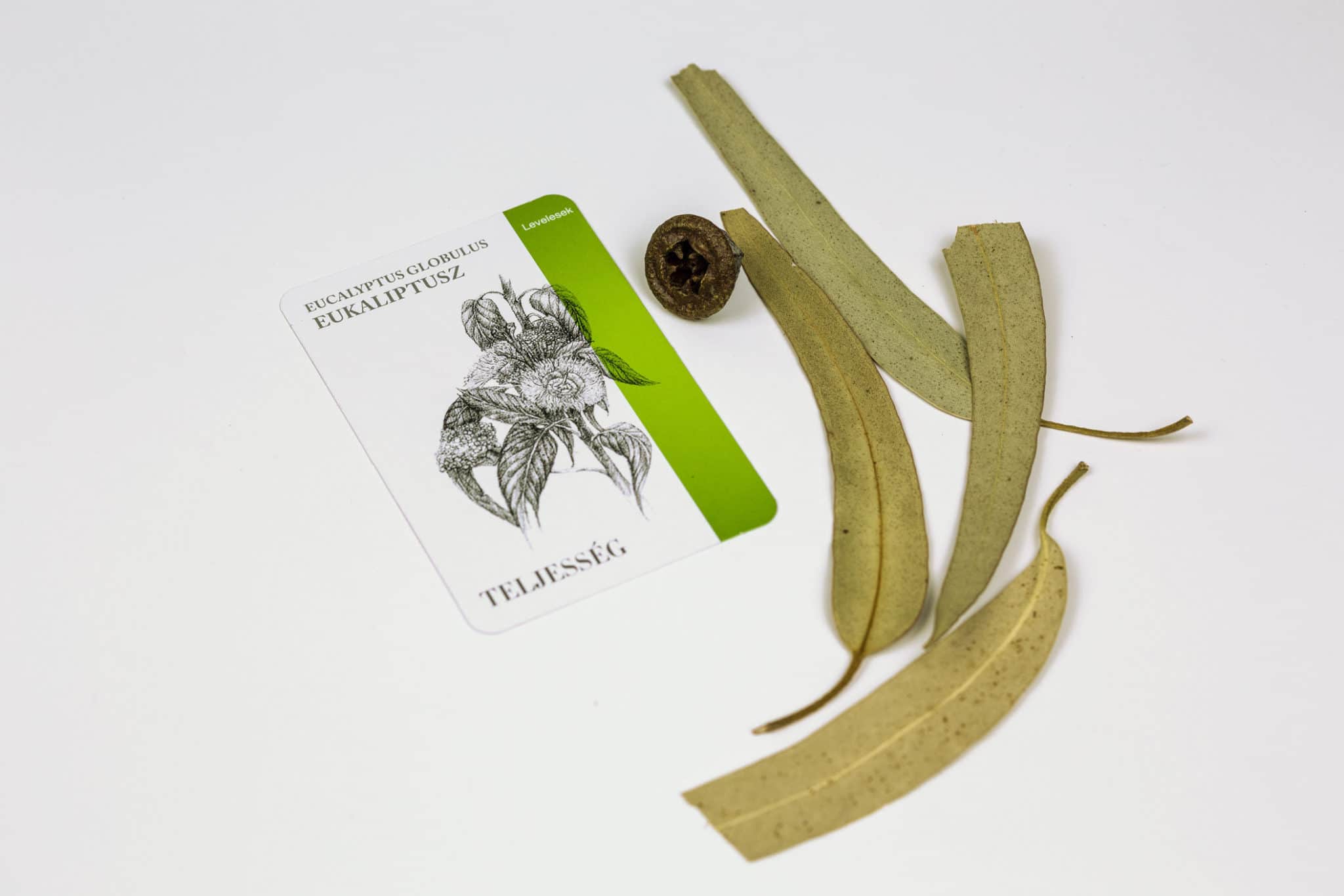 EU-leaves