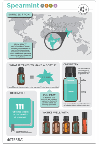 Spearmint